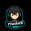 What could Tiwana Gaming buy with $100 thousand?