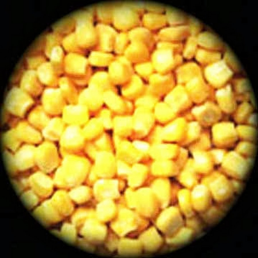 CORNBALL PRODUCTIONS YouTube