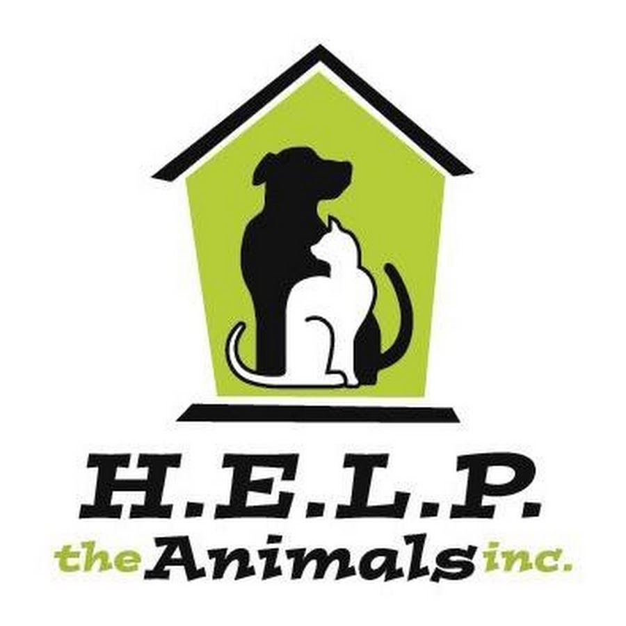 Volunteers help animals. Help animals. Help for animals. Собака хелп. Хелп Энималс.