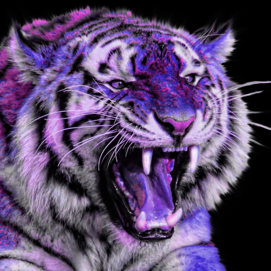 Тигр фиолетовый картинки