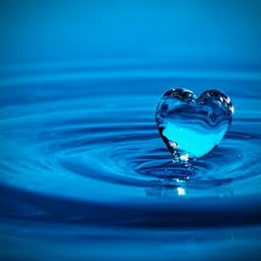 Голубь фото. Голубь 2. Про голубую любовь. Сердце во льду. Любовь.