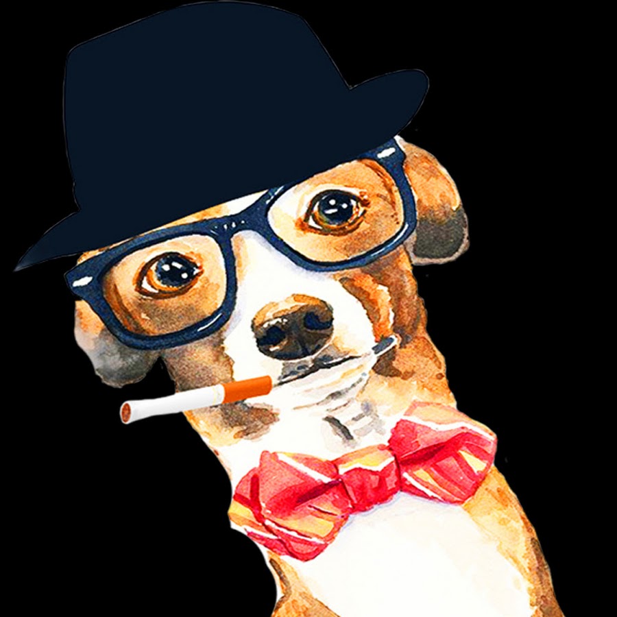 El Perro Mafioso - YouTube