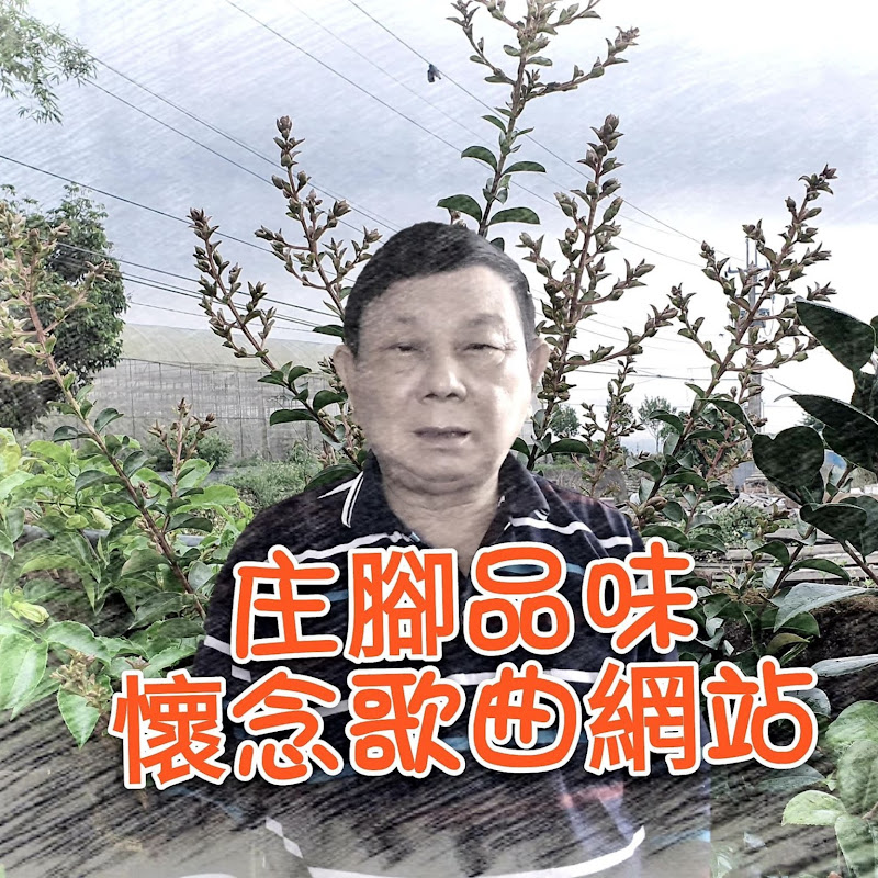 庄腳郎 Xu Gold pool - 網紅的藏寶箱 