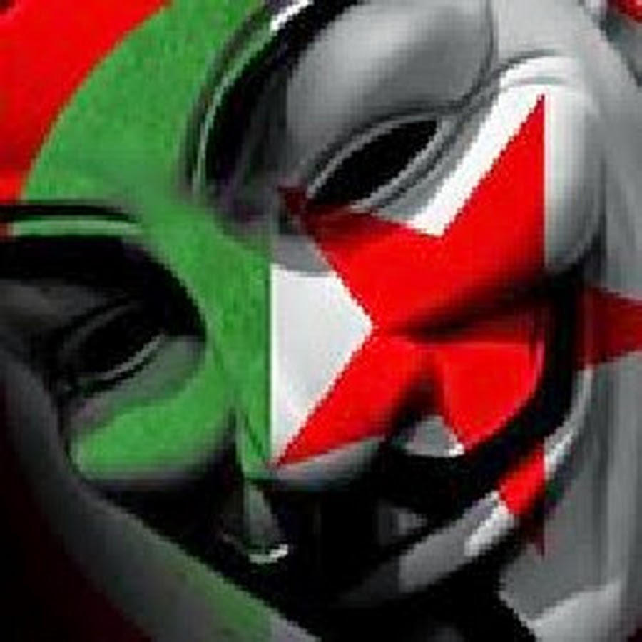 algeria.times channel YouTube