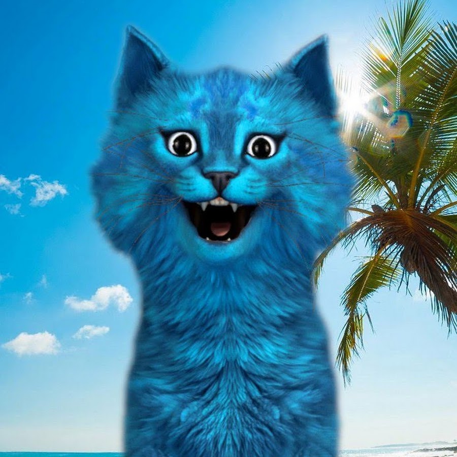 Картинки котика лайка и котика игромана