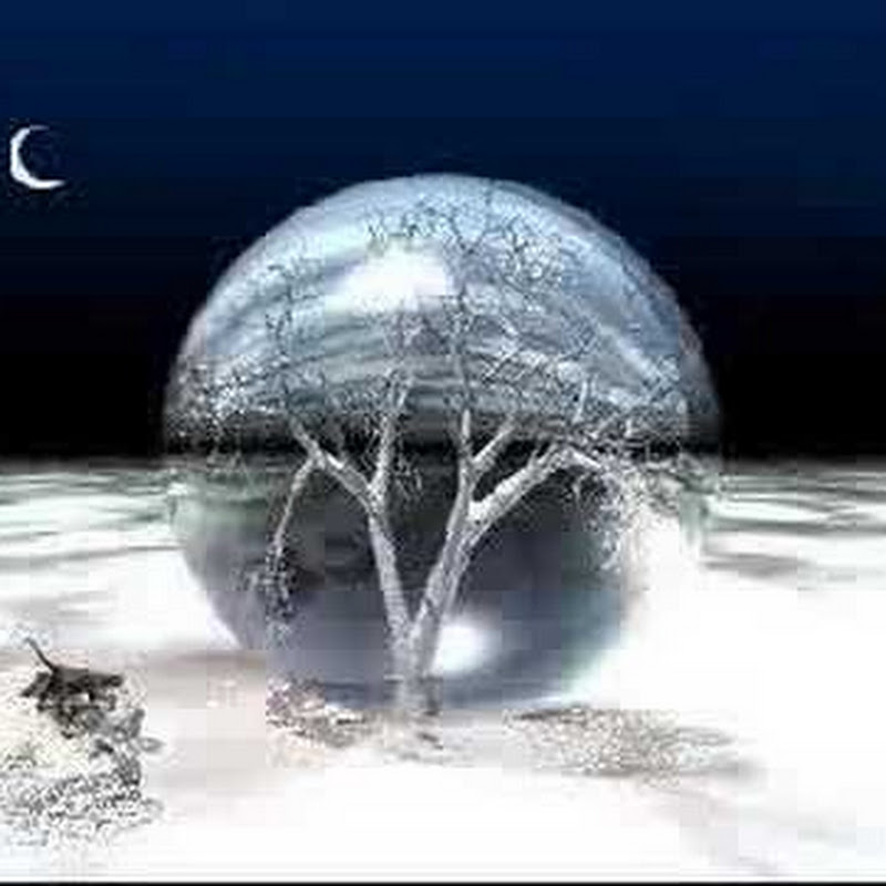 Quantumimmortality on YouTube