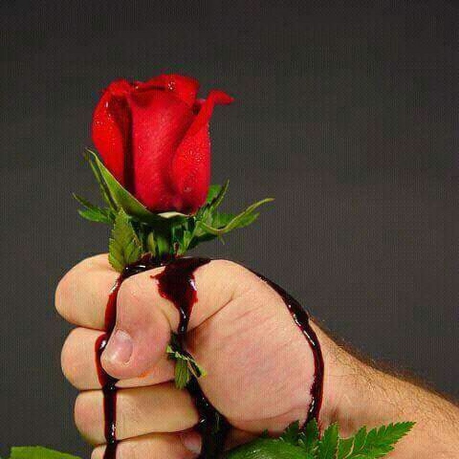 Хирсак картинка большой