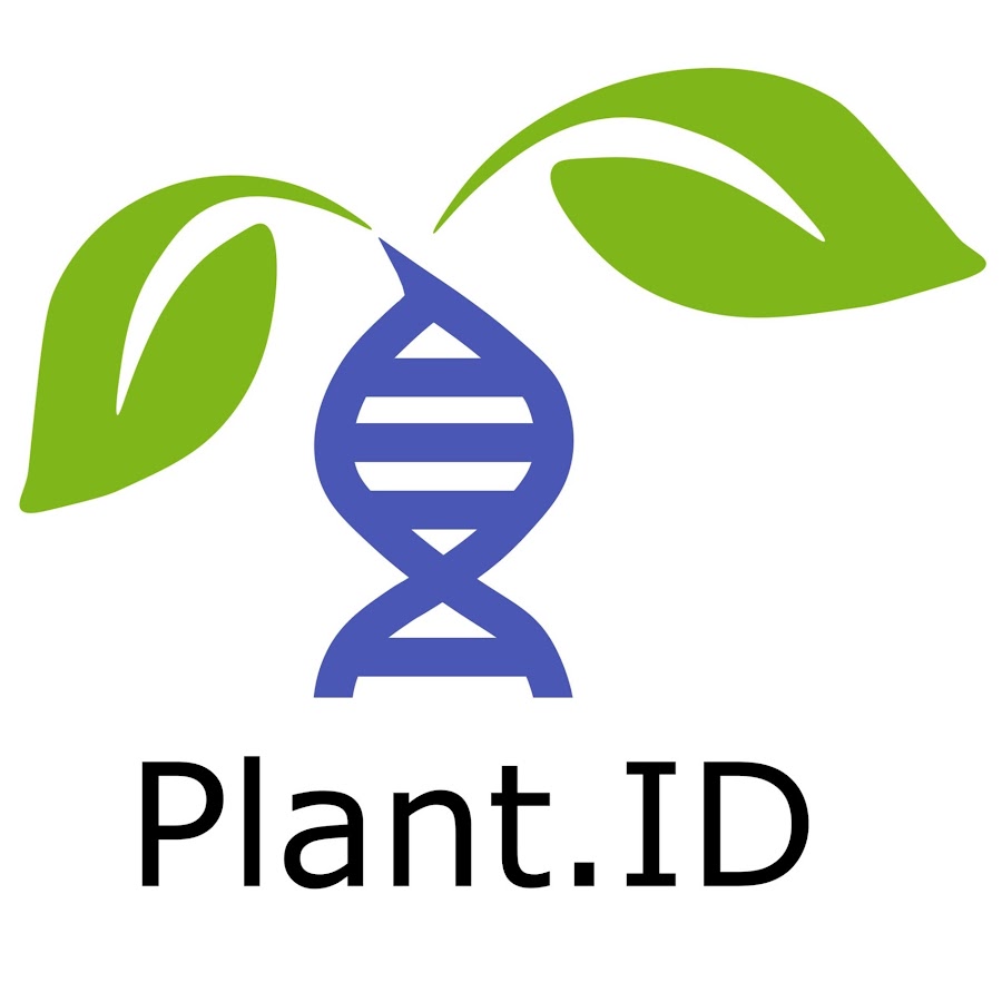 Plant ID YouTube