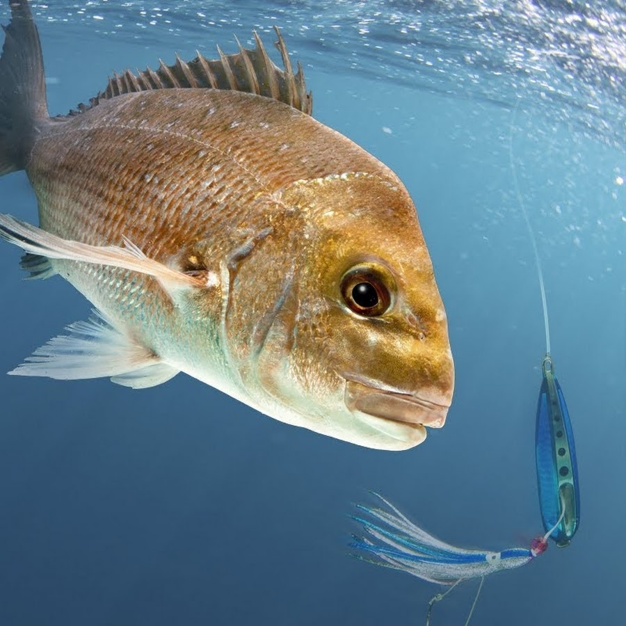 NZ Fishing World YouTube