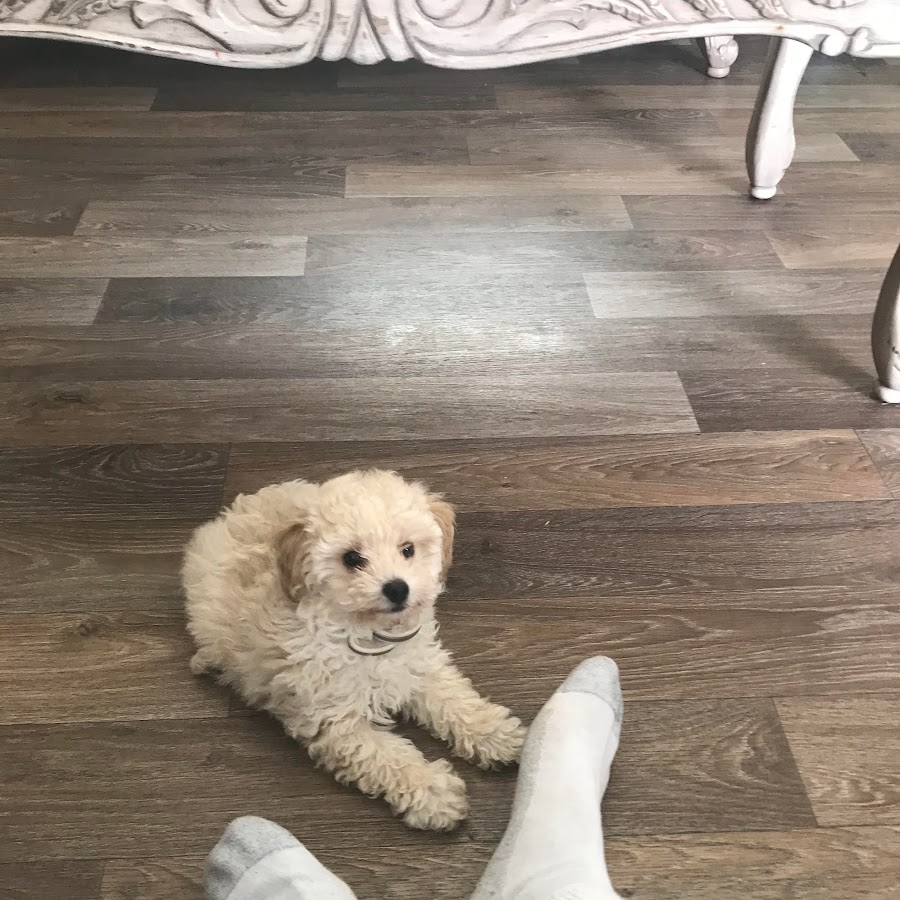 Anime Nerd - YouTube