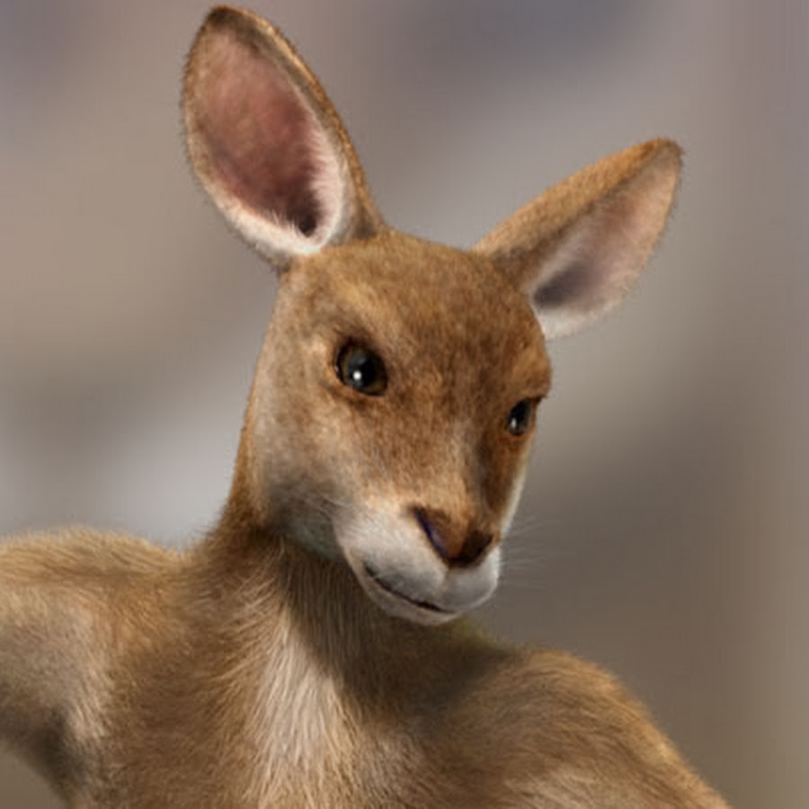 Mad Kangaroo - YouTube