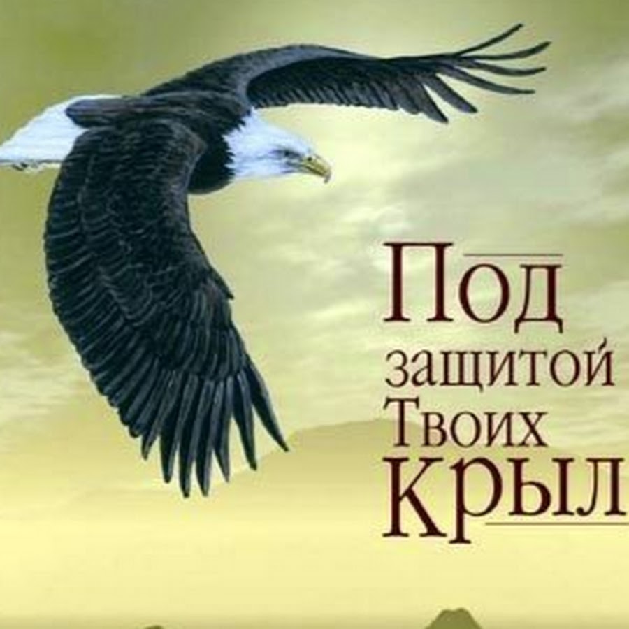 Крыли слушать. Под твоим крылом. Под защитой Божьих крыл. Буду жить под защитой твоих крыл. В тени твоих крыльев.