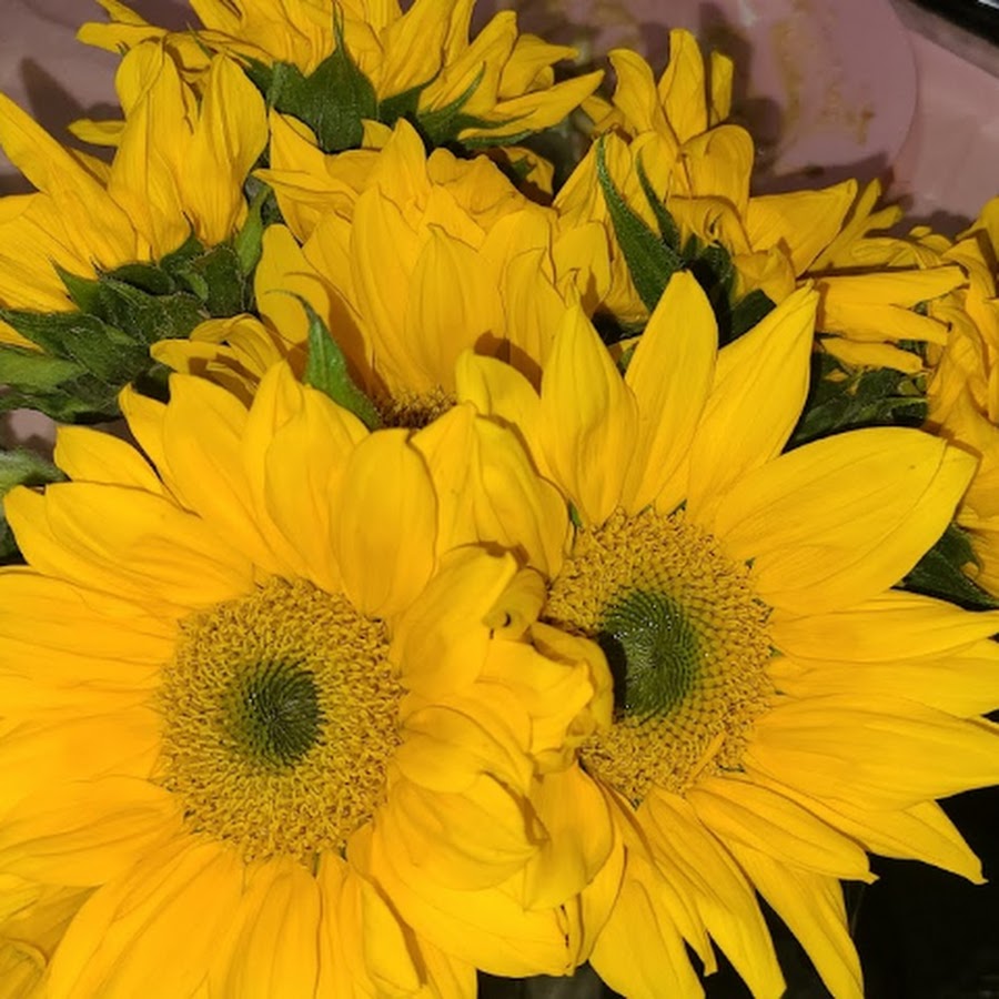 Instrumental Videos - YouTube