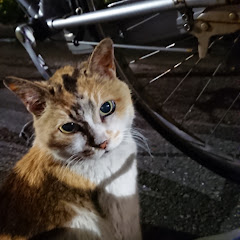 sato TV