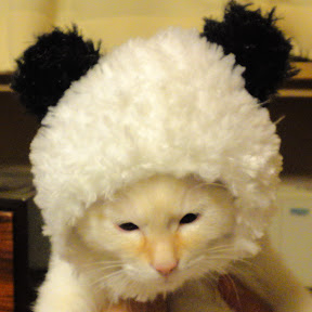 ���򤯤Ƥ��襤����ǭ�����ͥ� YouTube