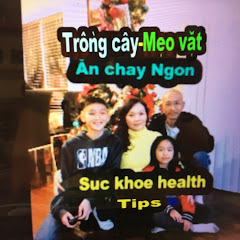 Suc Khoe Health Tips Instagram Account Analysis Statistics Vidooly