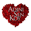 What could Adını Sen Koy buy with $100 thousand?