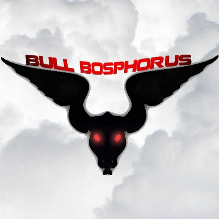 Bull Bosphorus Net Worth & Earnings (2024)