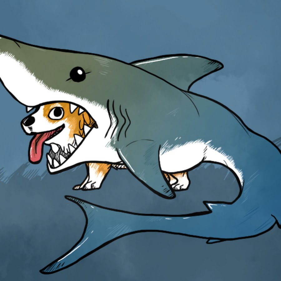 милые акулы. кот акула. акула кошка. котёнок в костюме акулы арт. радостная акула.
