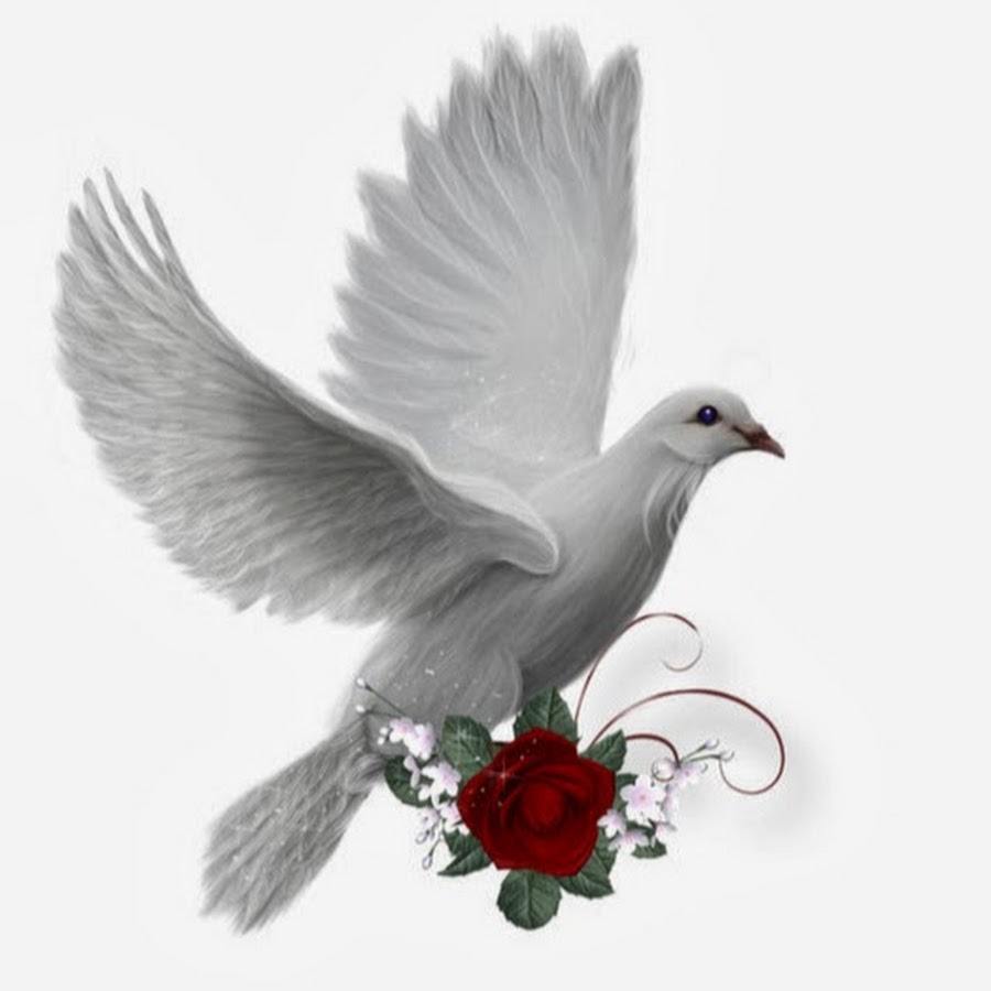 �������� ������, ������� �� ��������