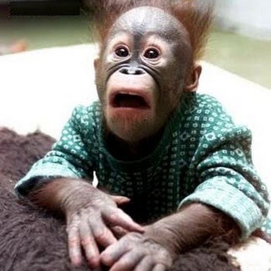 �������� � ���� ����������