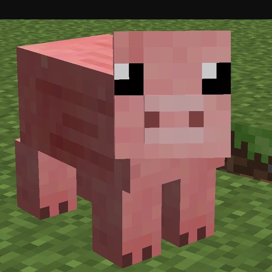 Piggy Gamer - YouTube