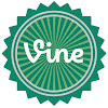 What could Vine Daily buy with $109.23 thousand?