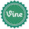 What could Vine Daily buy with $109.2 thousand?