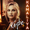 What could KAMALIYA buy with $100 thousand?