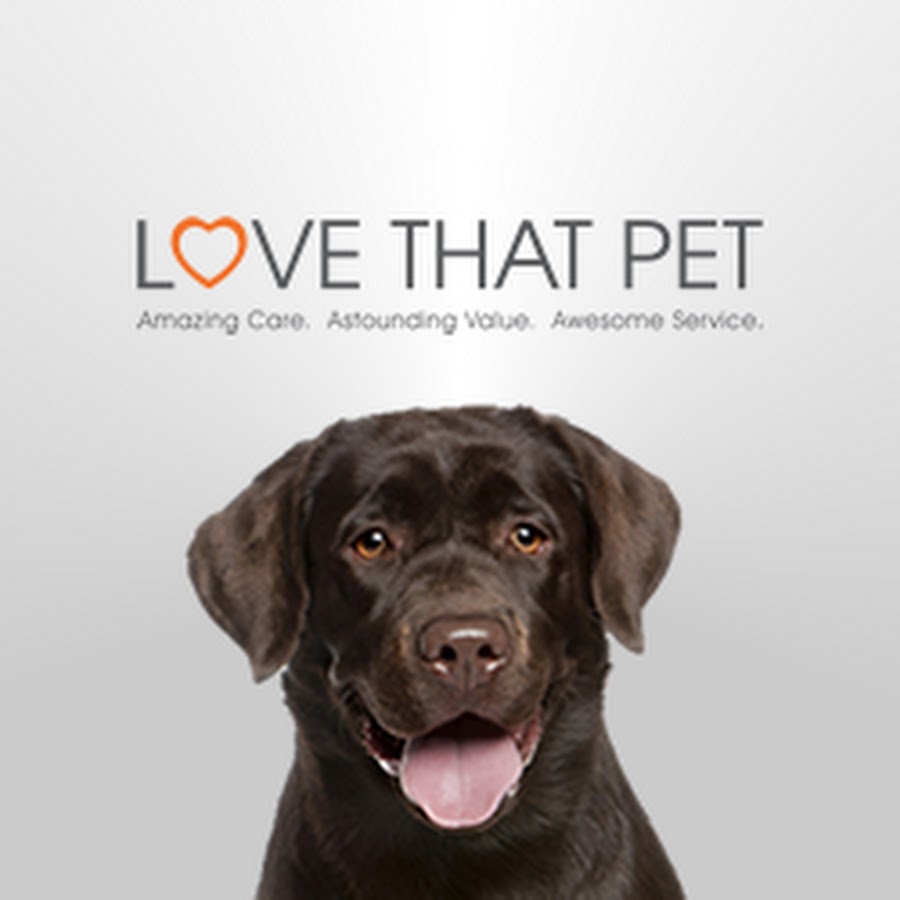 Love That Pet - YouTube