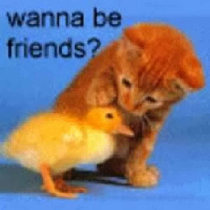 ItsWaldo (Walter Brinkman) Net Worth & Earnings (2026)