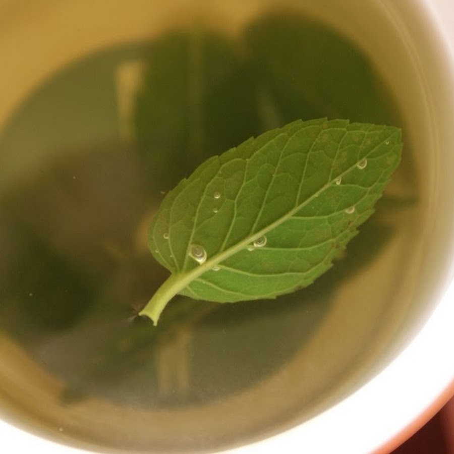 Листья мяты чай. Мята. Мята чай. Чай из мяты. Листья мяты.