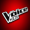 What could The Voice Kids Poland buy with $1.9 million?