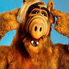 Alf
