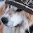 channel icon