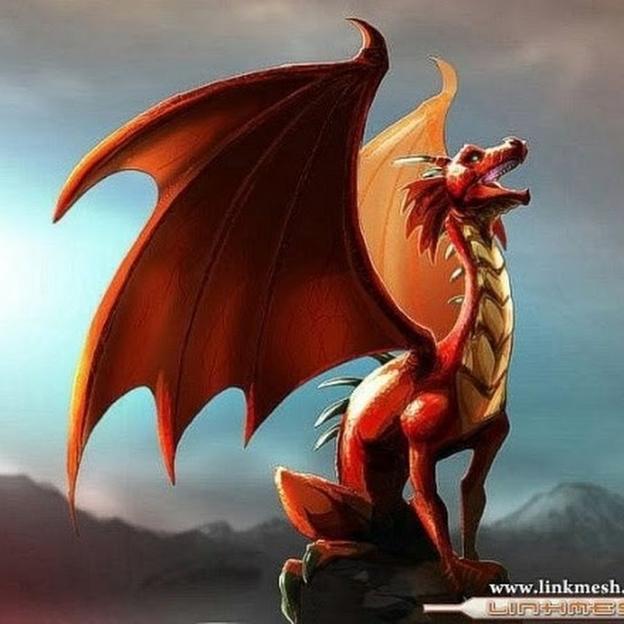 дракон. дракон тьмы. дракон аватарка. инь ян драконов. дракон и дракон инь и янь.