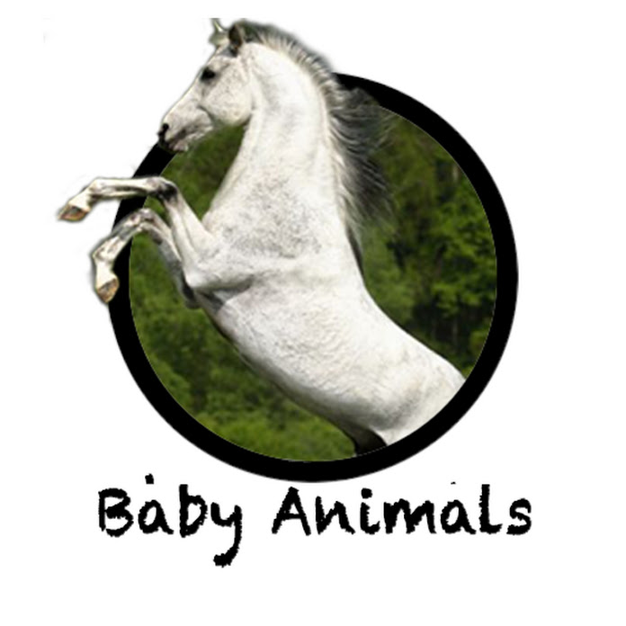 Baby Animals Net Worth & Earnings (2025)