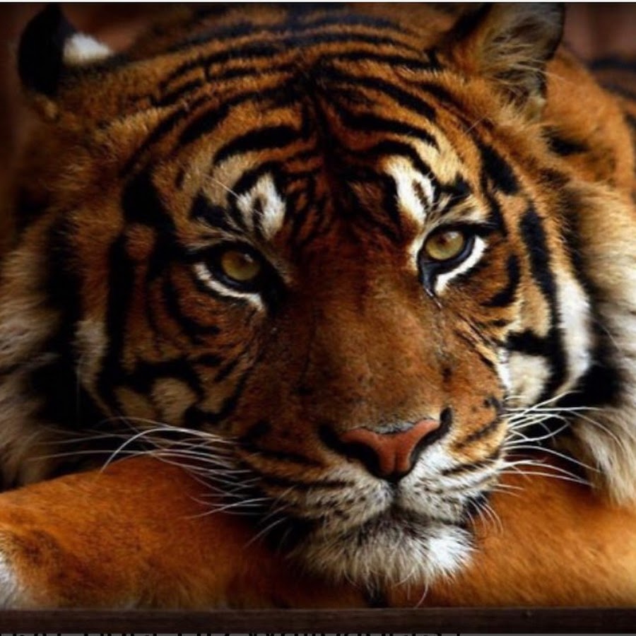 kids place - YouTube