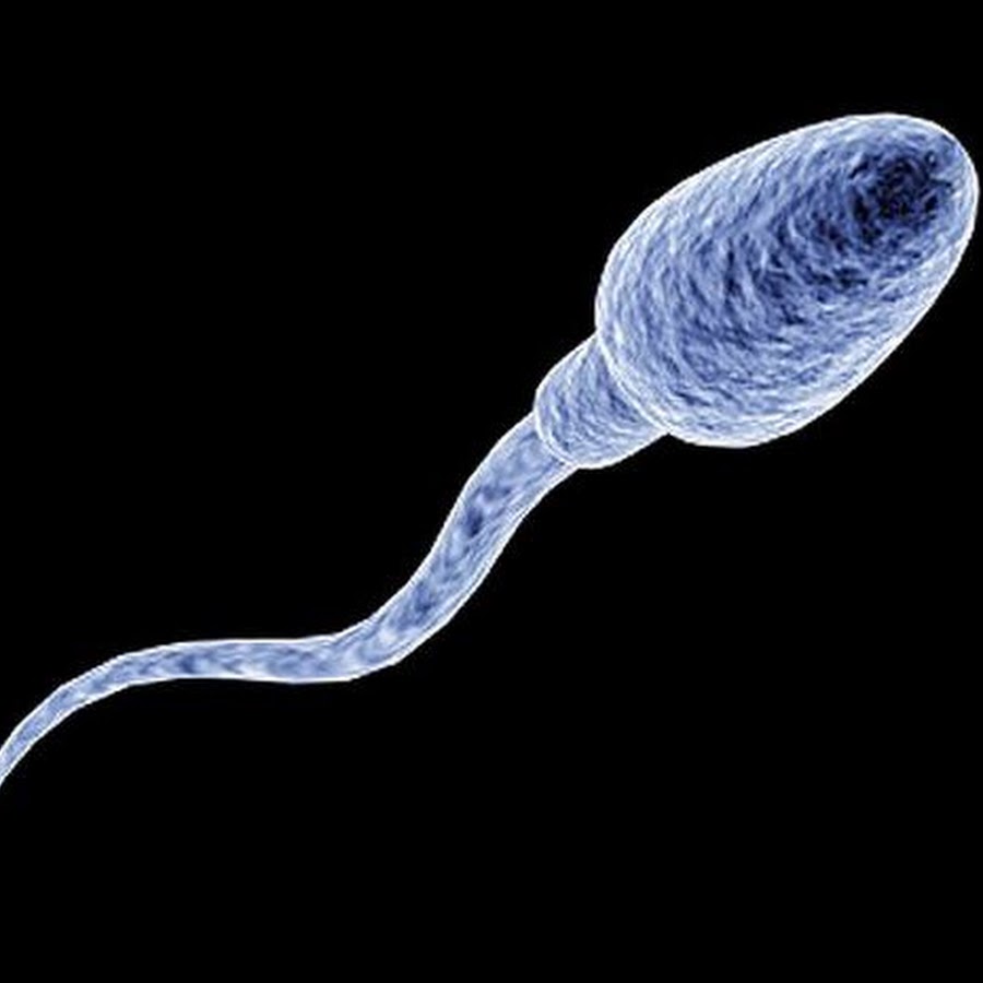 Pictures of all about sperm, octavia human porn