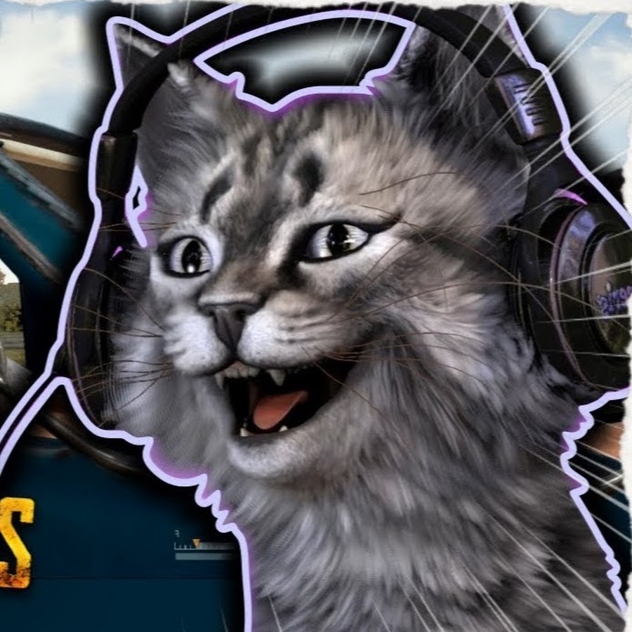 Unduh 7800 Koleksi Gambar Ebbo Kucing Paling Baru Gratis HD