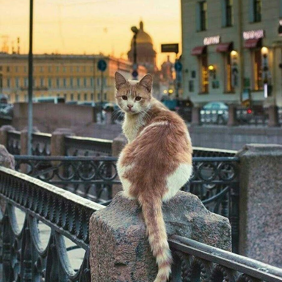 AGF-l7-9ffz_DpJ97P4_KBYGUm9tz96kJianz7JUQw=s900-c-k-c0xffffffff-no-rj-mo