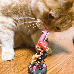 ゲームするしゅなち