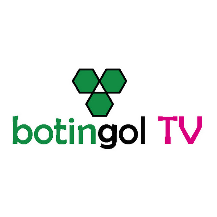 Botingol TV Net Worth & Earnings (2025)