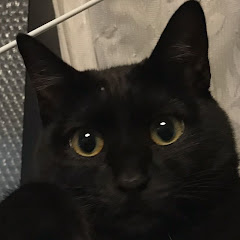 1クジラ未完成
