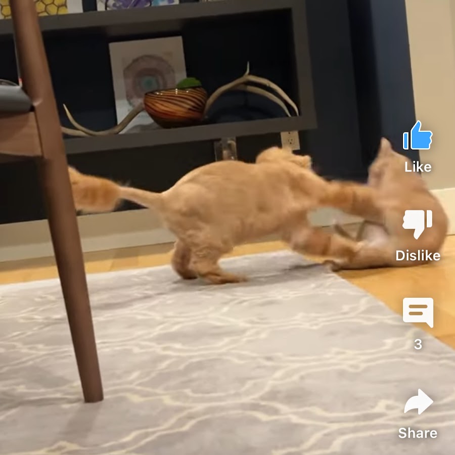 Group Vertical YouTube