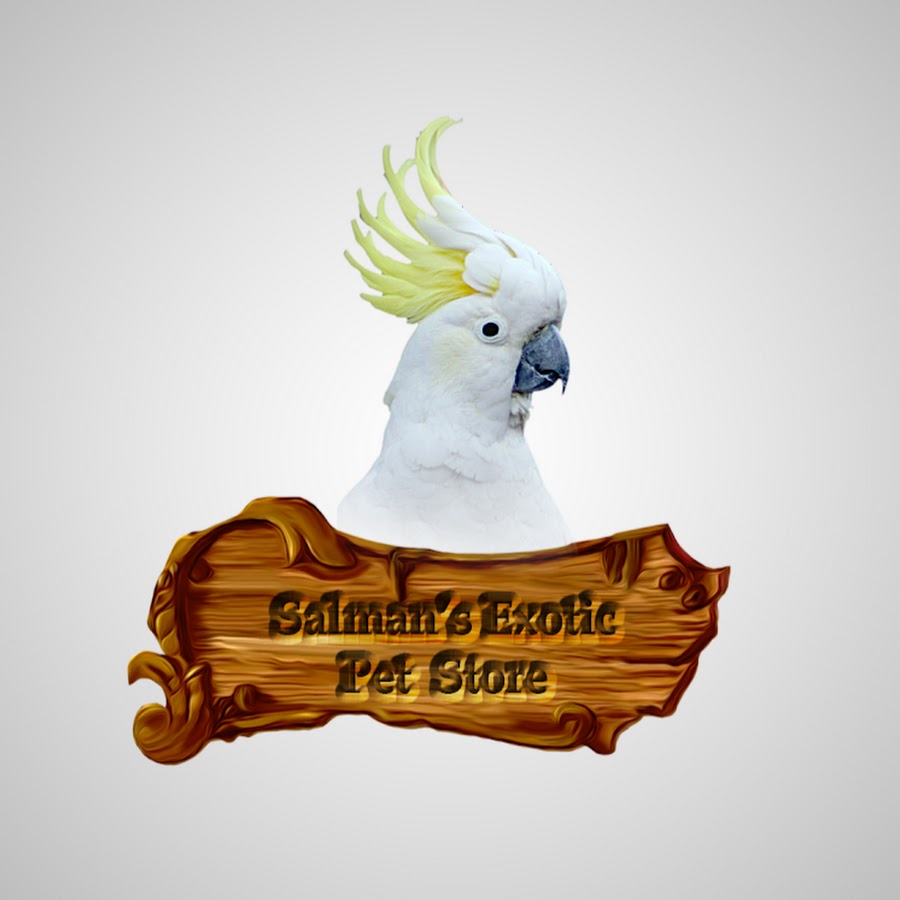 Salman's Exotic Pet Store - YouTube