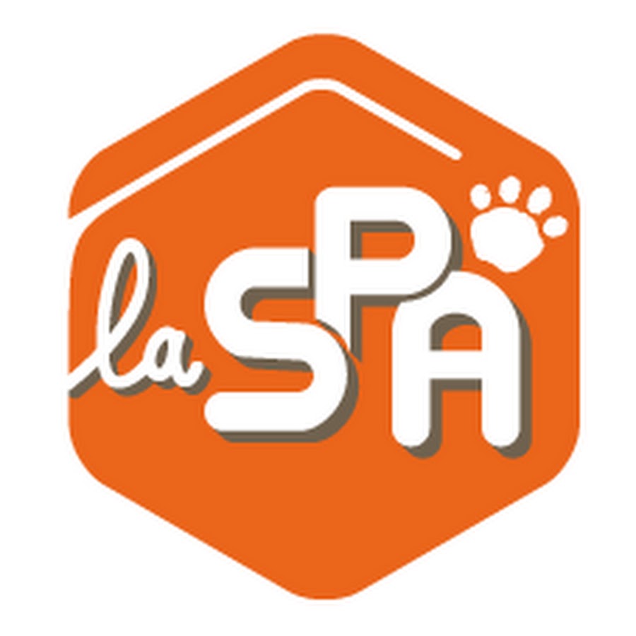 La SPA Société Protectrice des Animaux YouTube