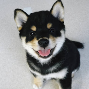 ��礦������ YouTube