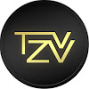 What could TV ZV buy with $100 thousand?