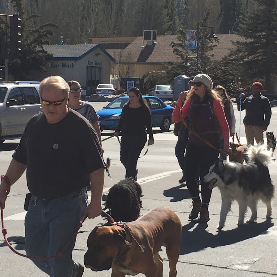 Inland Empire Dog Training School - YouTube